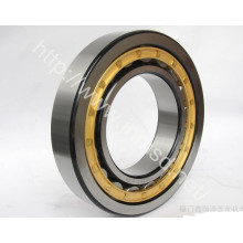 Auto Parts, Hardware, Rolling Bearing, Cylindrical Roller Bearing (N217ETN1)